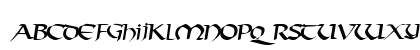 VectorType124 Regular