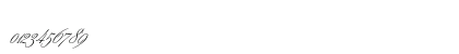 YoungBaroquePlain Regular
