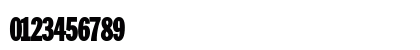 ZenherSSK Bold