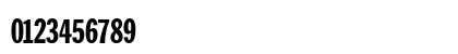 ZenherSSK Regular