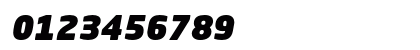 Neo Sans Std Ultra Italic