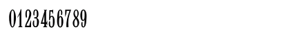 QuantumElongated Regular