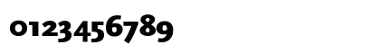 Scala Sans Black