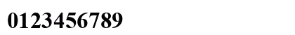 Times New Roman Bold