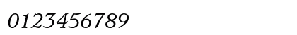 ITC Usherwood Std Medium Italic