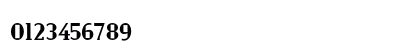 Zenith Regular