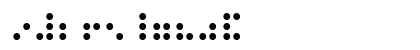 Braille Regular Braille Regular
