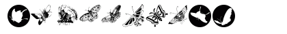 ButterFly Regular