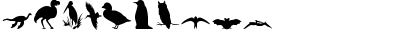 Critter Dingbats Regular Font