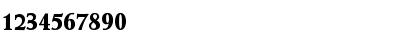 W690-Roman Bold Font W690-Roman Bold Font