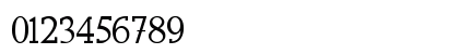 FAFERS Irregular Serif Font Irregular