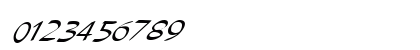 FZ HAND 21 ITALIC Normal