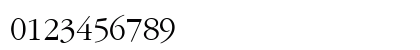 Garamond Light SSi Light