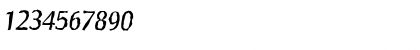 SalzburgRandom Italic Font SalzburgRandom Italic Font