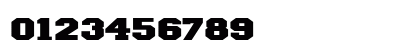 IvyLeagueExtendedSolid Regular