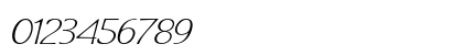 Ciria Expanded Italic Ciria Expanded Italic
