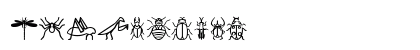 Insect Icons Regular