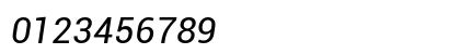 Roboto Italic Roboto Italic