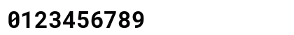 Roboto Mono Bold Roboto Mono Bold
