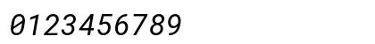 RobotoMono Nerd Font Italic RobotoMono Nerd Font Italic