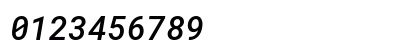 RobotoMono NF Italic RobotoMono NF Italic