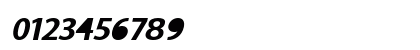 Tottenham Bold Italic