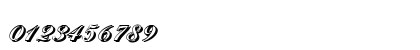 NicholasBeckerShadow Bold