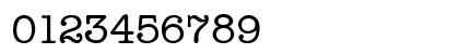 Typewriter Medium