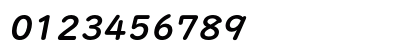 UDDigiKyoItalic Bold Bold Italic
