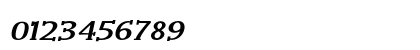 Wink Bold Italic Wink Bold Italic