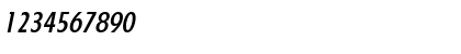 FloridaSerial-Medium Italic Font FloridaSerial-Medium Italic Font