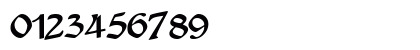 PaloraSSK Bold