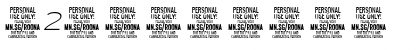 Roona Sans Thin PERSONAL Italic Font Roona Sans Thin PERSONAL Italic Font