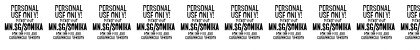 Sonika PERSONAL USE Black Italic Font