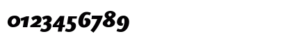 ScalaSans Black Italic