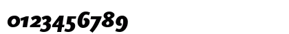 ScalaSans BlackItalic