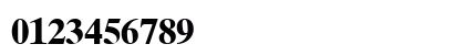Times Ten CE Roman Bold