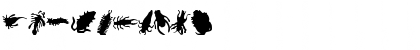 Ann Crawlers Font Ann Crawlers Font
