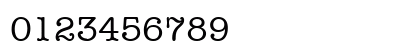 Typist Normal