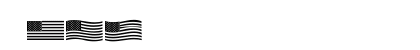 US Flag Regular