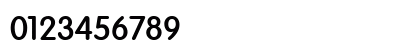 Vogel Bold