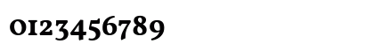 Vollkorn Bold