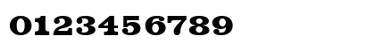 VoltaT Bold