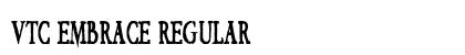 VTC Embrace Regular preview