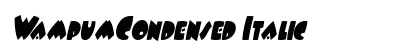 WampumCondensed Italic preview