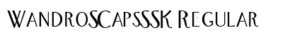 WandroSCapsSSK Regular preview