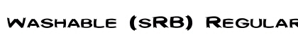 Washable (sRB) Regular preview