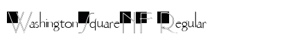 WashingtonSquareNF Regular preview