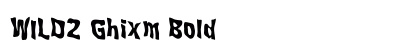 WILD2 Ghixm Bold preview