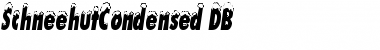 Download SchneehutCondensed DB Font Download SchneehutCondensed DB Font
